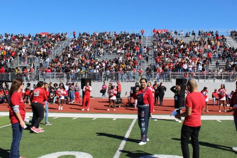 District suggest bond to construct dome over Rutledge Stadium
