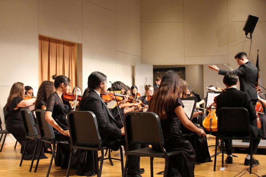 Orchestra performs their first concert of the year