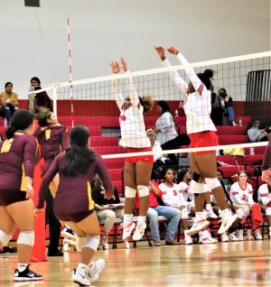 Volleyball falls to Harlandale