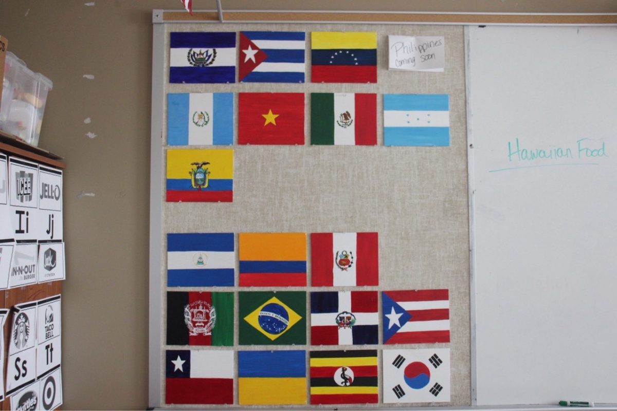 A wall of flags in Mrs. Hooper's classroom is displayed to represent the home countries of English Language Learner (ELL) students in her class.